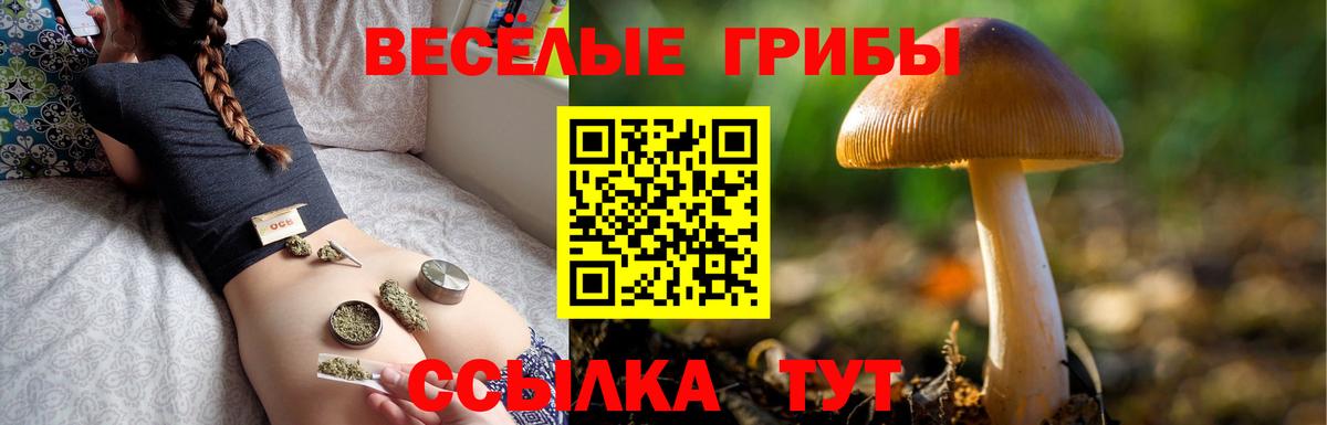 Псилоцибиновые грибы GOLDEN TEACHER Нижневартовск